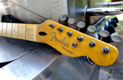 FENDER LIC RELIC