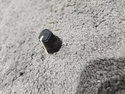 POINTER PRINCETON CHORUS