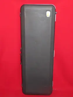 RICKENBACKER 2007 USA BLACK MOLDED 620 OR 660 HARDSHELL CASE