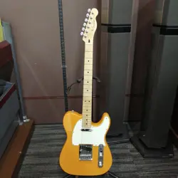 TELECASTER ELECTRIC GUITAR/PLAYER