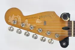 TEX-MEX STRATOCASTER SAFE