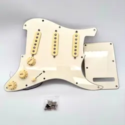 LOADED PICKGUARD 24089