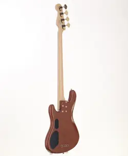 FENDER VICTOR