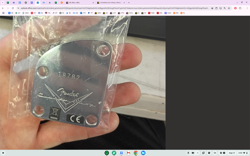 NECK PLATE FOR CASEY