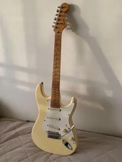 FUJIGEN 1989-1990 VINTAGE