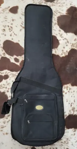 CASE STRATOCASTER TELECASTER