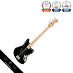 AFFINITY SERIES JAGUAR