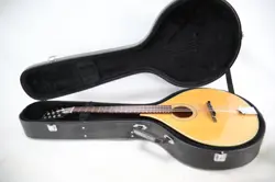 UNKNOWN FENDER MUSICAL INSTRUMENT