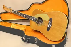 FENDER SHENANDOAH 1971