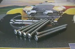 4 NECK PLATE +2 SPRING CLAW +2 STRAP BUTTON +8 TUNER STAINLESS SCREWS FOR FENDER