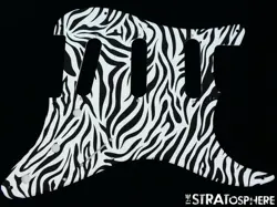 ZEBRA PRINT