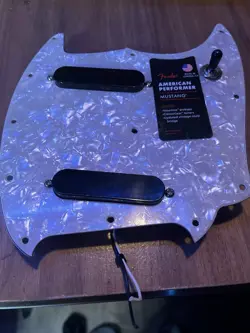 SERIES LOADED PICKGUARD