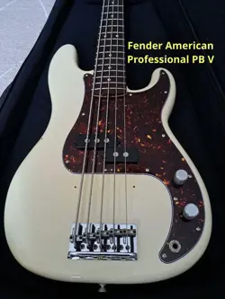 PROFESSIONAL PB SAFE