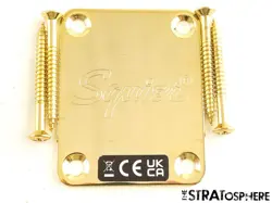 PLATE STRATOCASTER GOLD