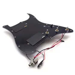 LOADED PICKGUARD WITH