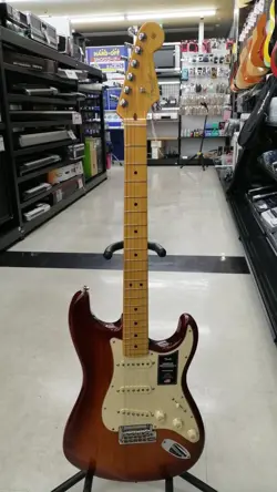 PROFESSIONAL STRAT ELECTRIC