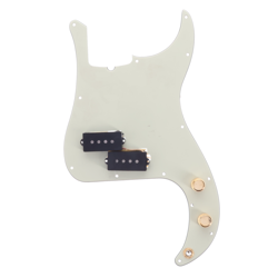 75TH ANNIVERSARY BASS