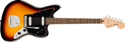 AFFINITY JAGUAR LAUREL