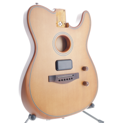 SERIES ACOUSTASONIC BODY