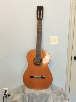FC-10 GUITAR