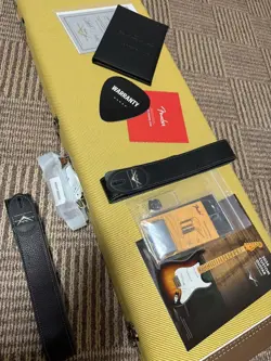 STRATOCASTER HEAVY RELIC