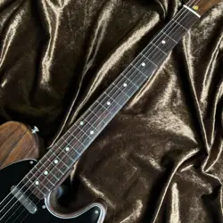 ALL ROSEWOOD TELECASTER