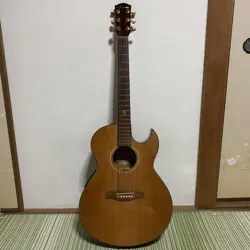 MODEL ECO GUITAR