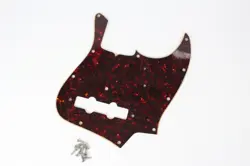 PICKGUARD 1965 1966