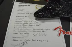 FENDER STRATOCASTER PICKGUARD