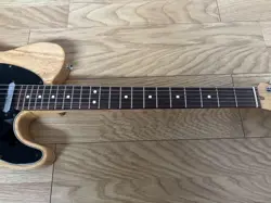 PROFESSIONAL TELECASTER SAFE