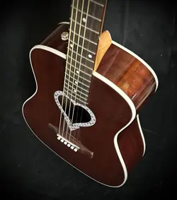 FENDER MALIBU ALKALINE TRIO GUITAR