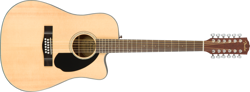 DREADNOUGHT CUTAWAY 12-STRING