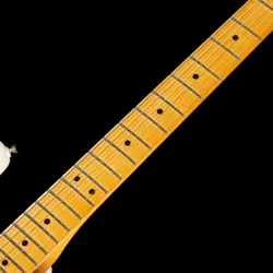 AMERICAN PROFESSIONAL