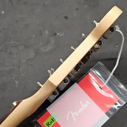 PROFESSIONAL STRAT ROSEWOOD