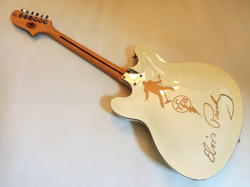 DDCC CUSTOMIZED GUITAR