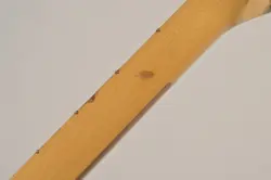 1978 VINTAGE FENDER STRATOCASTER MAPLE NECK STRAT USA 1970S