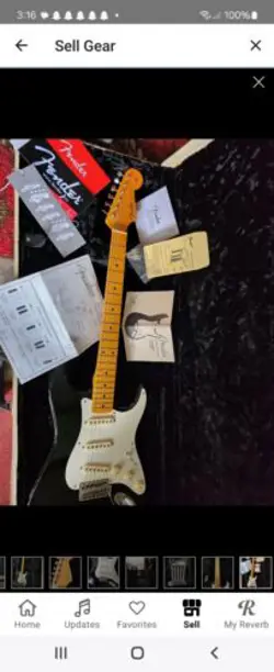STRAT MAPLE BODY