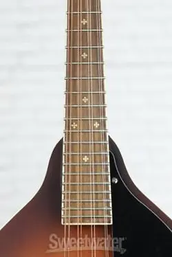 PM-180E MANDOLIN