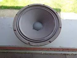 12” SPEAKER OHM