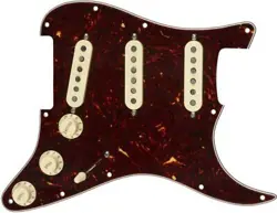 WIRED PICKGUARD COLOR