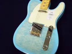 2TELECASTER MAPLE FINGERBO