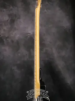 ST54-120 EXTRAD STRATOCASTER