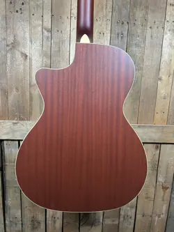 PLAYER ACOUSTIC-ELECTRIC