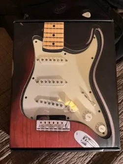 FENDER STRATOCASTER LOADED PICKGUARD PLAYER SSS
