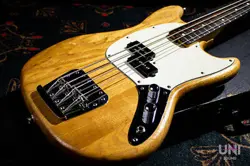 BASS MOD 1975