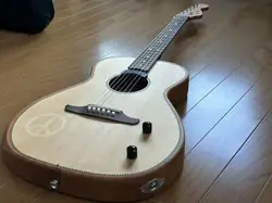 FENDER HIGHWAY SERIESTM PARLOR