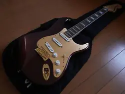 ANNIVERSARY MODEL SQUIER