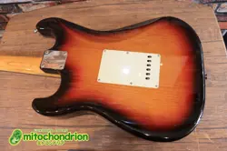 PICUKUPS ELECTRIC GUITAR