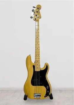 NATURAL PLEBE PRECISION