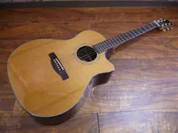 ELECTRIC ACOUSTIC GUITARGA45SCEYUI